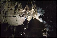 Thumbnail of photo from this article